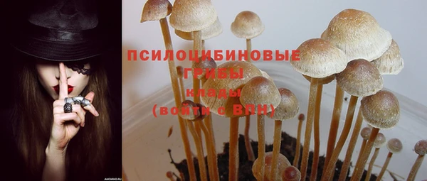 гашиш Арсеньев