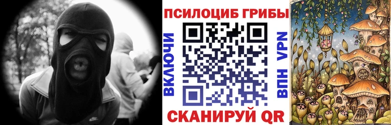Галлюциногенные грибы Cubensis  купить наркотик  Ессентуки 